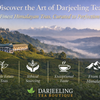 Darjeeling Tea Boutique banner showing misty Himalayan tea gardens, colonial estate, and premium Darjeeling tea branding with key highlights.