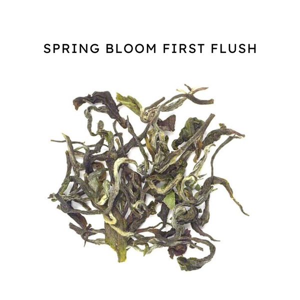 Spring Bloom First Flush Black Tea – Whole Leaf ingredients and product highlights