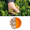 Autumn Gold Flush – Darjeeling Autumn Flush Black Tea gift packaging and product presentation