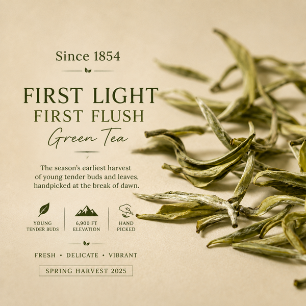 First Light First Flush Darjeeling Green Tea – Whole Leaf complete product information