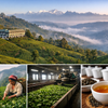 Darjeeling Tourism