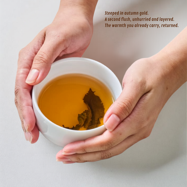 Autumn Gold Flush – Darjeeling Autumn Flush Black Tea brewed tea serving suggestion