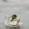 Full Moon Silver – Speciality Darjeeling White Tea brewed tea serving suggestion