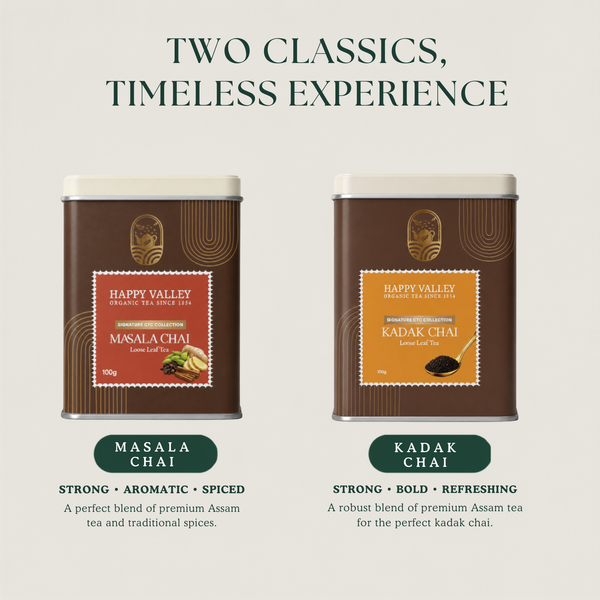 Kadak Chai – Strong Assam CTC Black Tea loose tea leaves and prepared infusion
