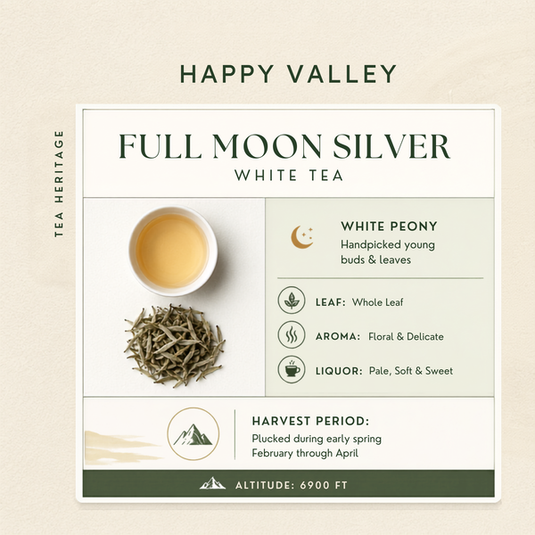 Full Moon Silver – Speciality Darjeeling White Tea loose tea leaves and prepared infusion