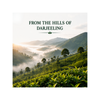 Darjeeling Chamomile Tea (100 G)