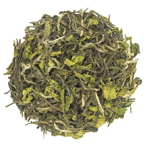 Loose leaf green tea showing fresh whole tea leaves.