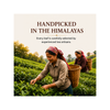 Premium Edition Vintage Darjeeling Tea (100 G)