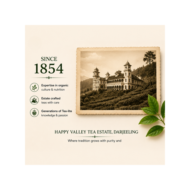 Darjeeling Black Tea Second Flush Whole Leaf Tea (100 G)